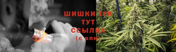 2c-b Мегион