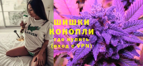 гидропоника Медногорск
