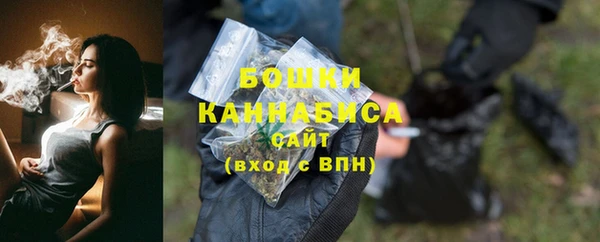 гидропоника Медногорск