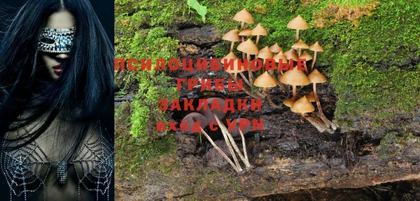 2c-b Мегион