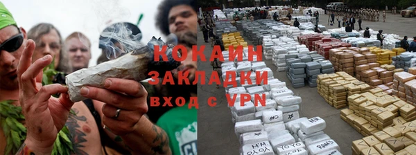 2c-b Мегион