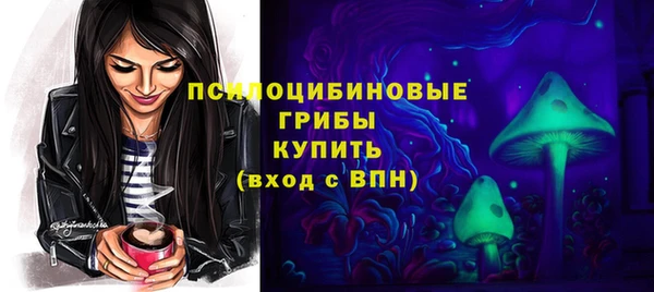 гидропоника Медногорск
