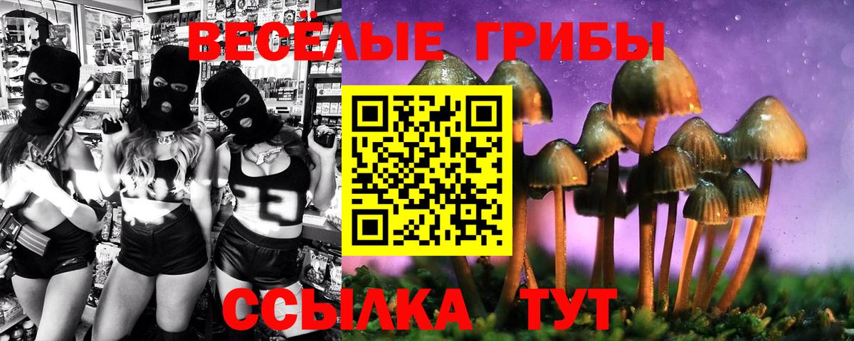 Галлюциногенные грибы GOLDEN TEACHER Скопин
