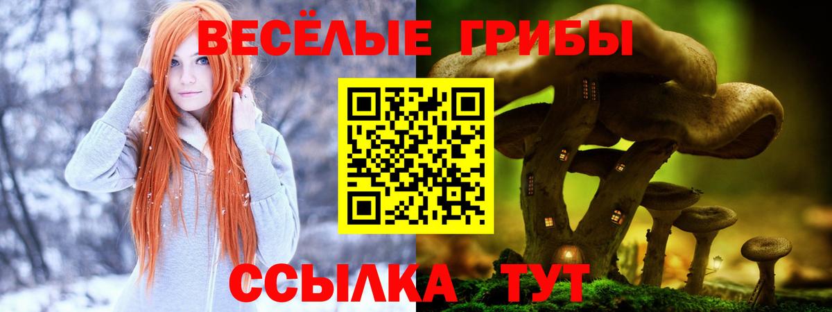 Псилоцибиновые грибы MAGIC MUSHROOMS  Вход с VPN  Скопин 